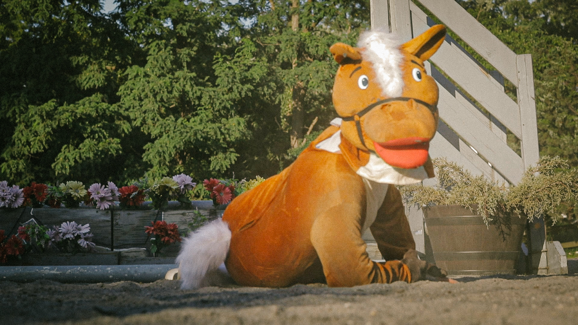 Partnership with The Hampton Classic!